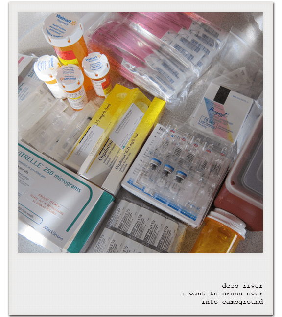 secondhandsandwich Journal Deep River